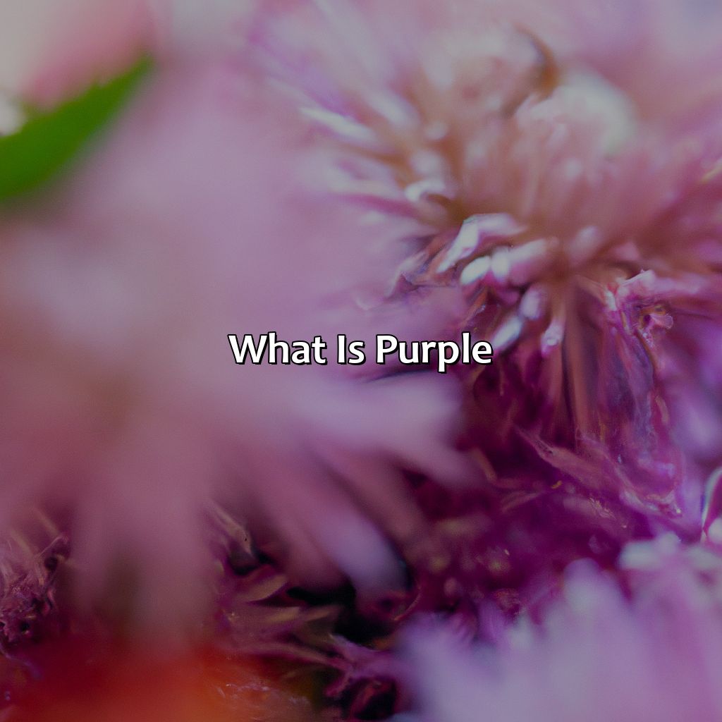 What Is Purple?  - Purple And Pink Make What Color, 