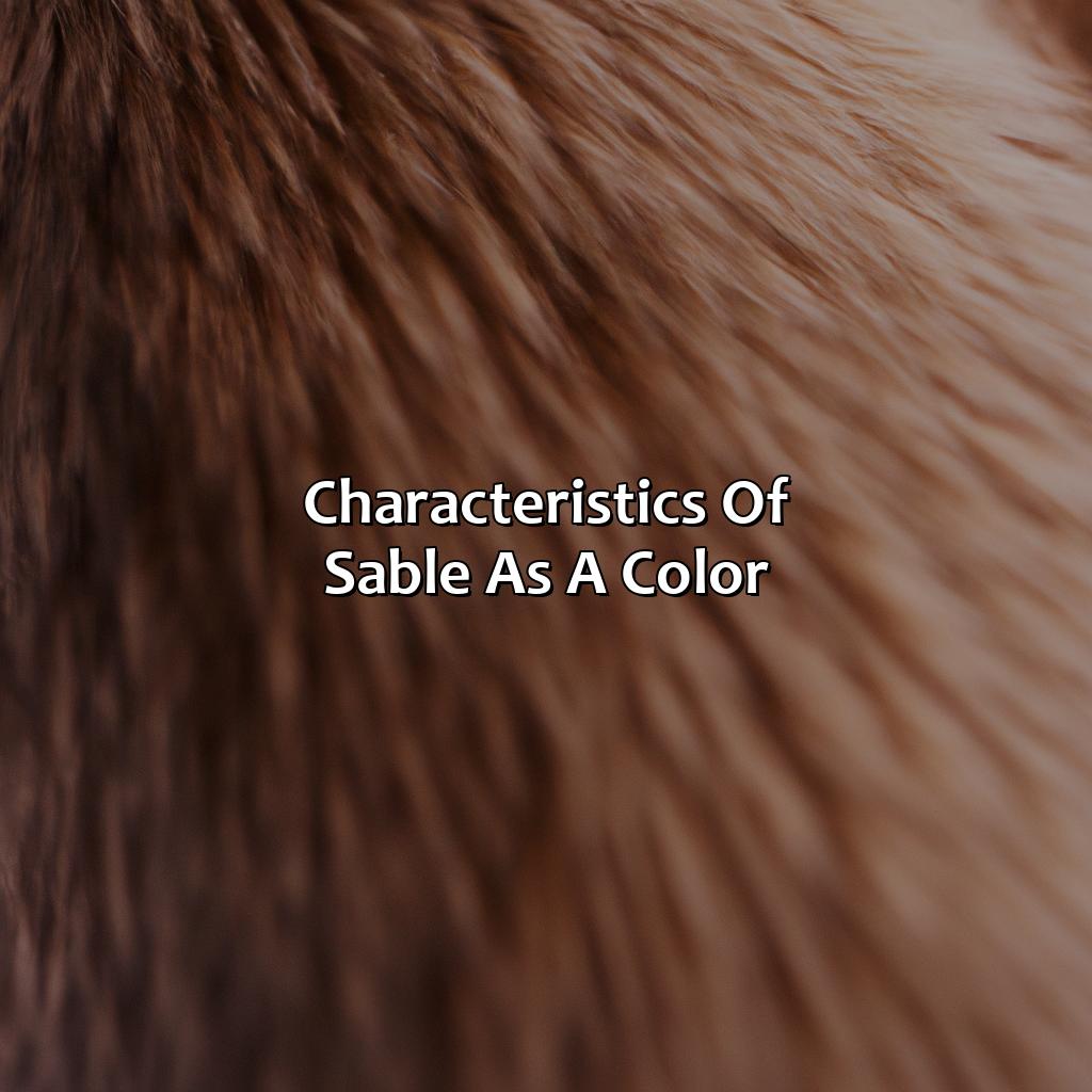 Characteristics Of Sable As A Color  - What Color Is Sable, 