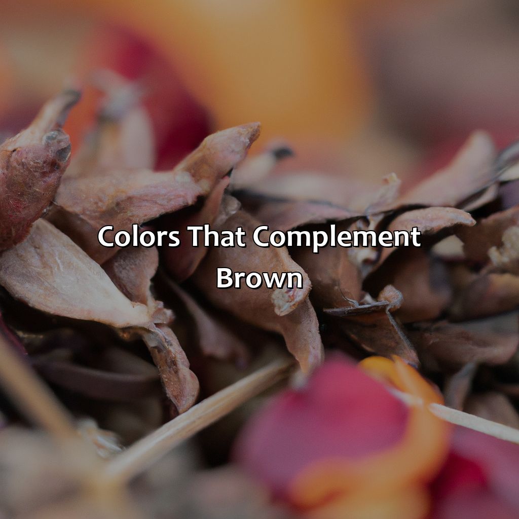 Colors That Complement Brown  - What Colors Go With Brown, 