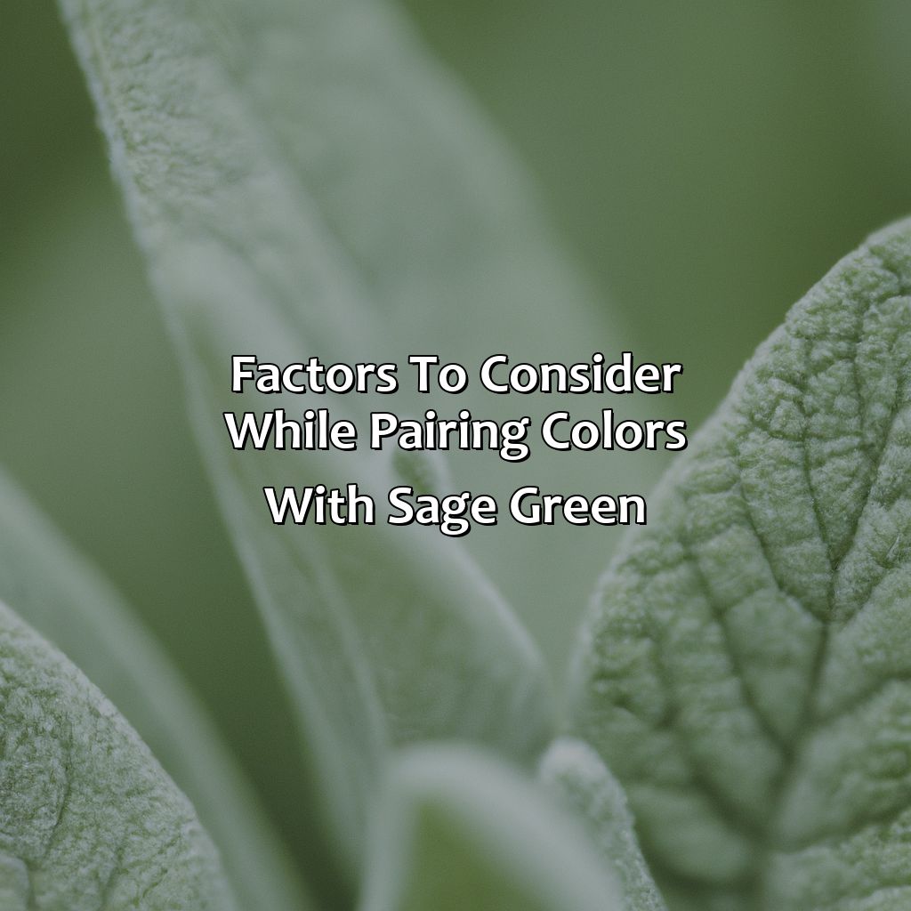 Factors To Consider While Pairing Colors With Sage Green  - What Colors Go With Sage Green, 