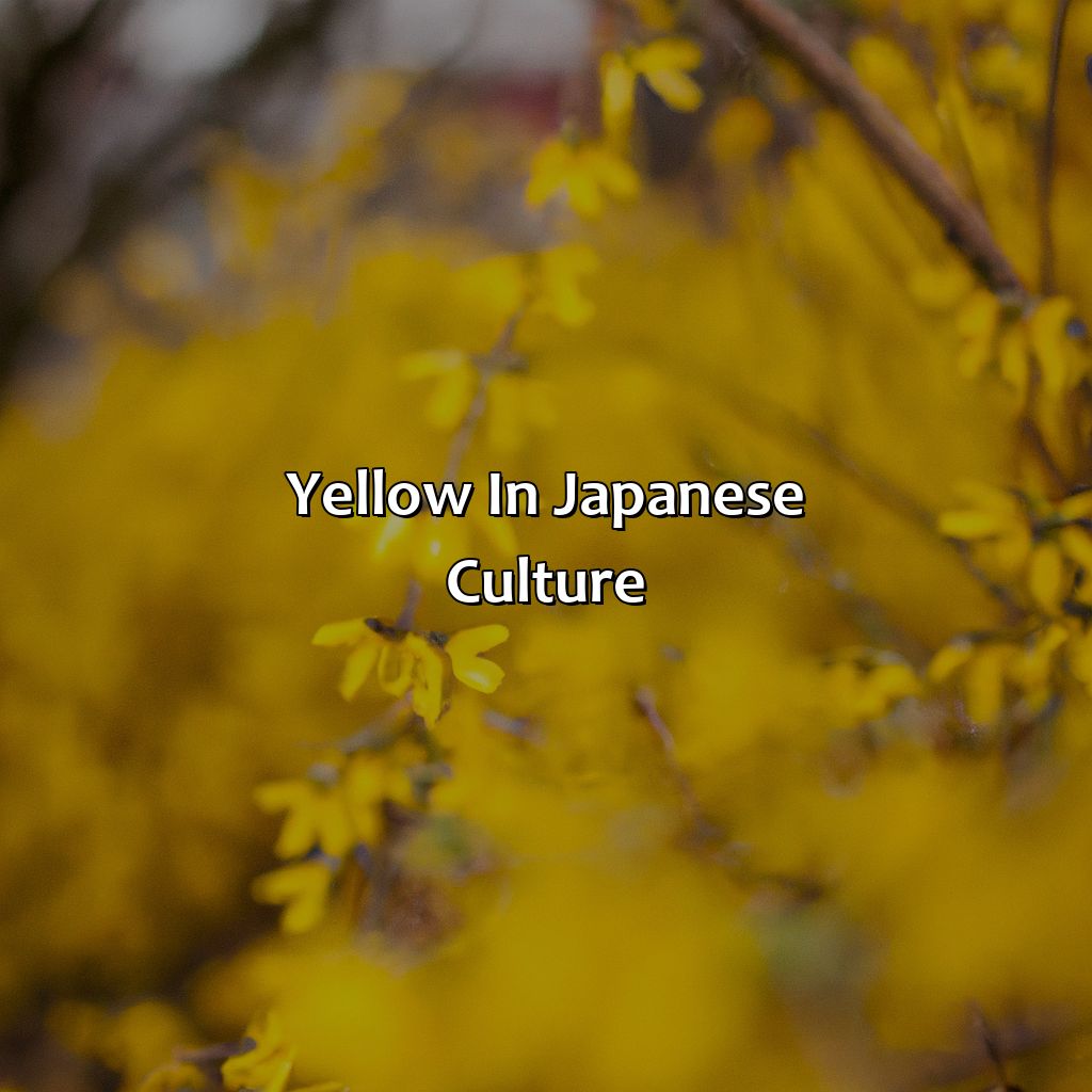 Yellow In Japanese Culture  - What Does The Color Yellow Mean In Japan, 
