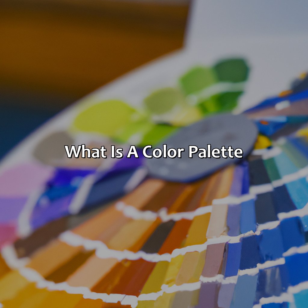 What Is My Color Palette Quiz - Branding Mates