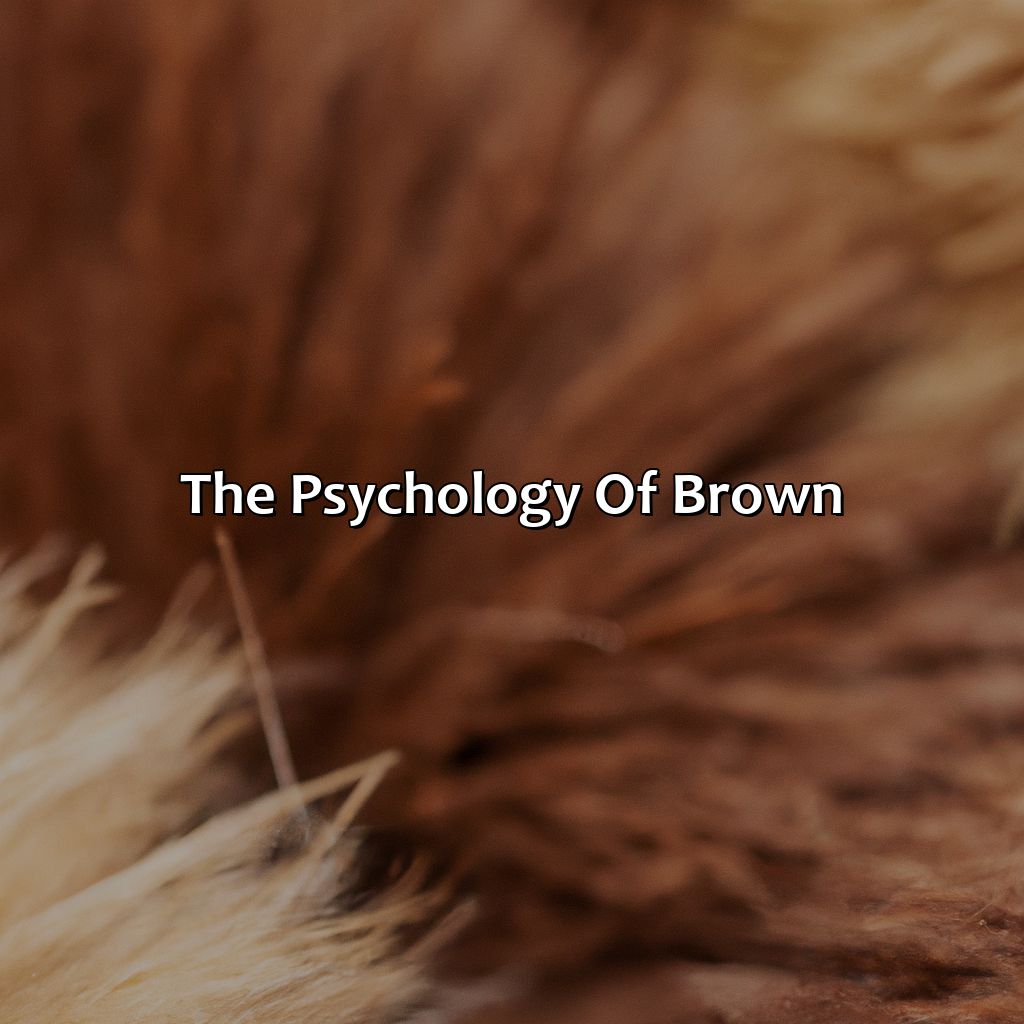The Psychology Of Brown  - What Makes The Color Brown, 